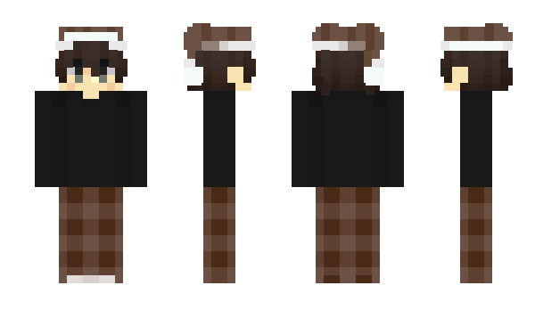 Minecraft skin rotor300
