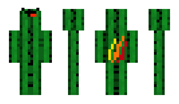 Minecraft skin Cactus5