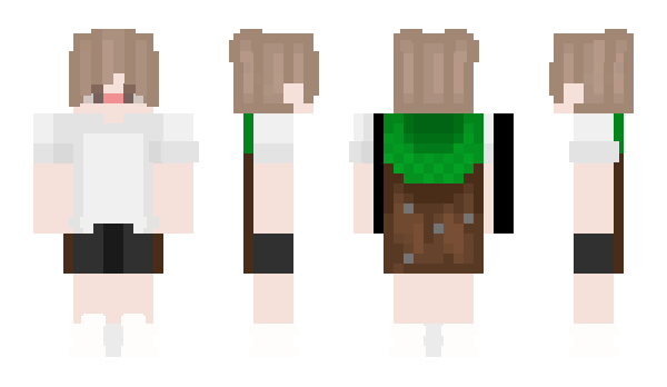 Minecraft skin Meassa