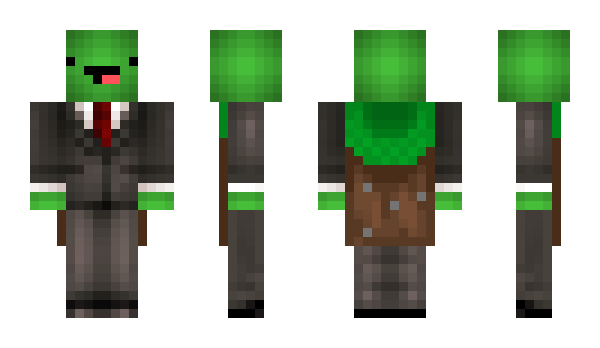 Minecraft skin Turtle1313