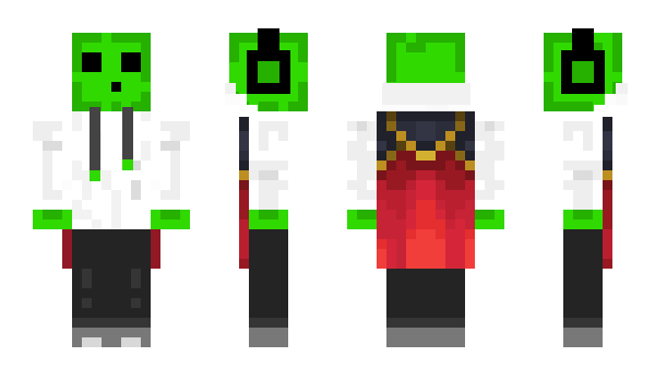 Minecraft skin _Fibbs_