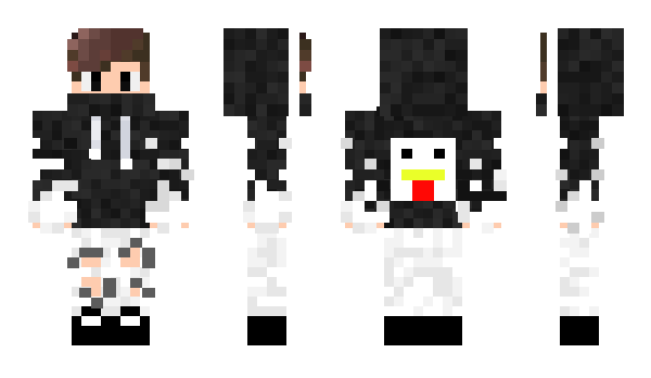 Minecraft skin DIPERPINES