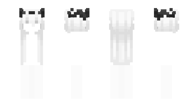 Minecraft skin coty