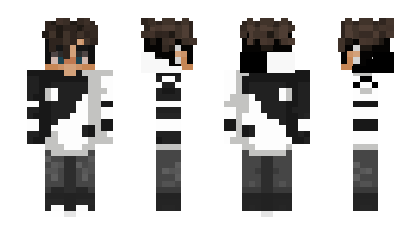 Minecraft skin Mill1on