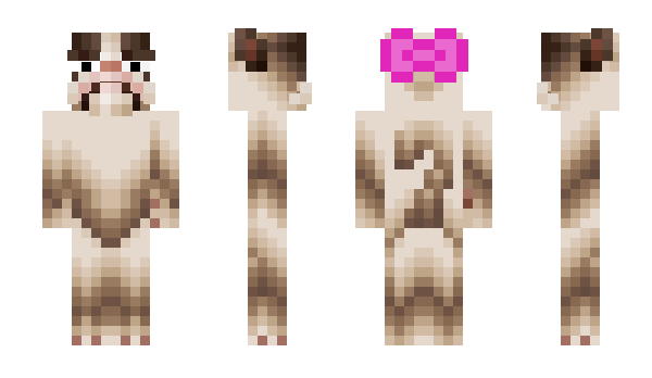 Minecraft skin eunmeow