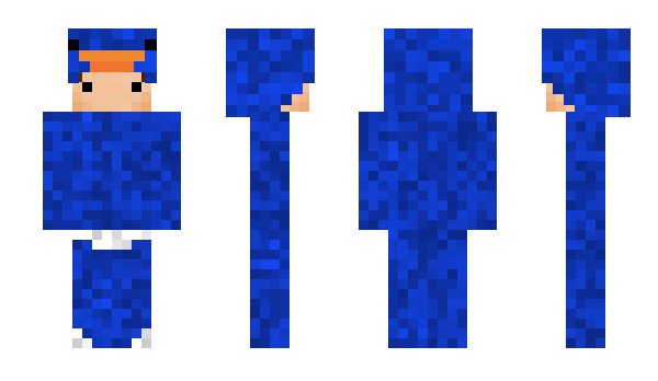 Minecraft skin 1n1