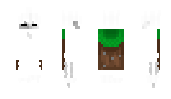 Minecraft skin Vi1ruz