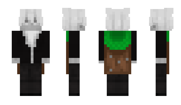 Minecraft skin 2poy