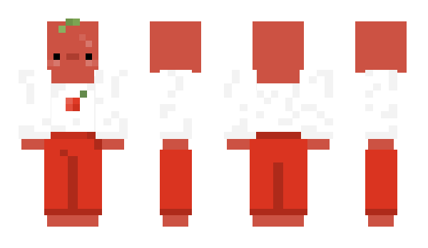 Minecraft skin toahu