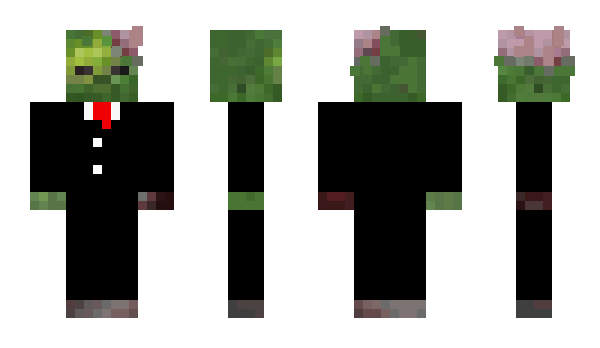 Minecraft skin Life_I