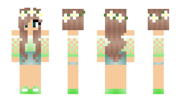 Minecraft skin annim