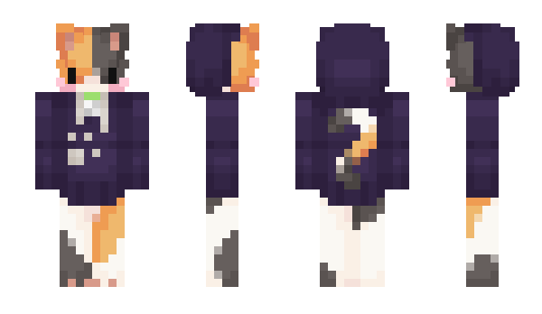 Minecraft skin INeDI