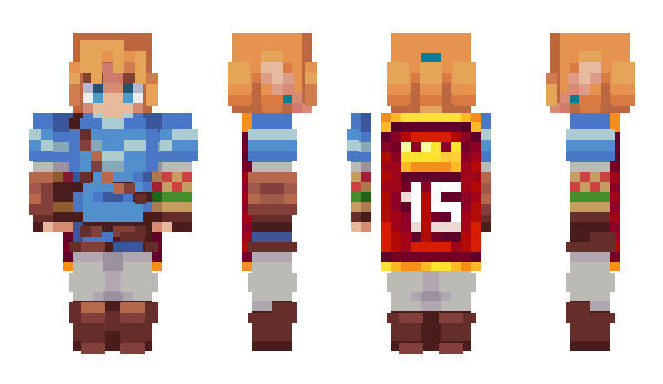 Minecraft skin VNT2014