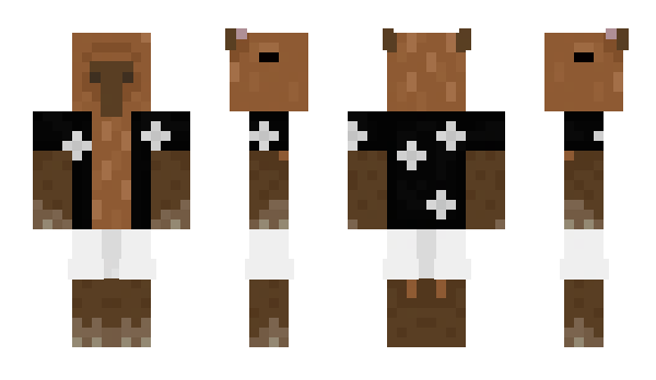 Minecraft skin MuchawaDalton