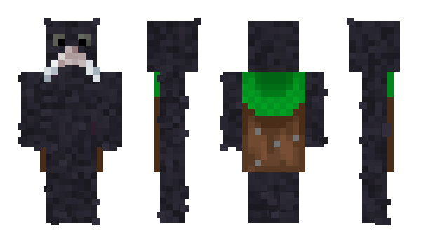 Minecraft skin tpzyy