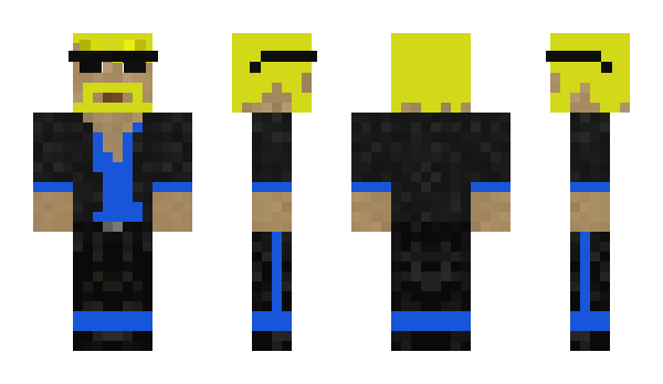 Minecraft skin Aegishjalmir