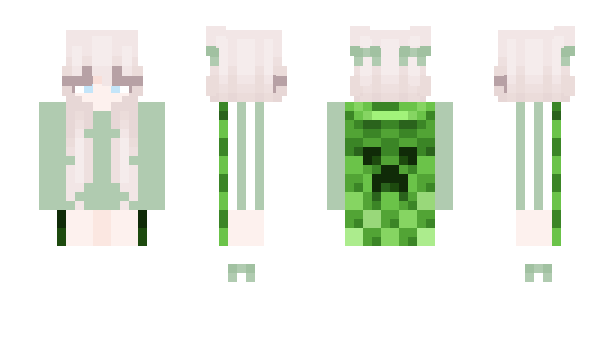Minecraft skin TurtleActive