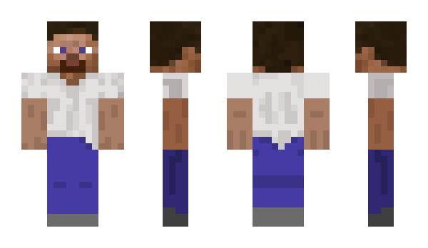 Minecraft skin 5849