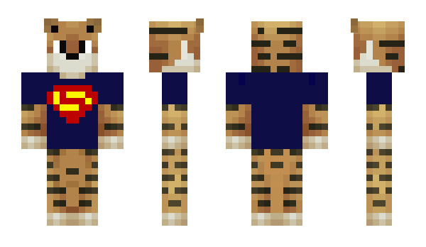 Minecraft skin QtieTye