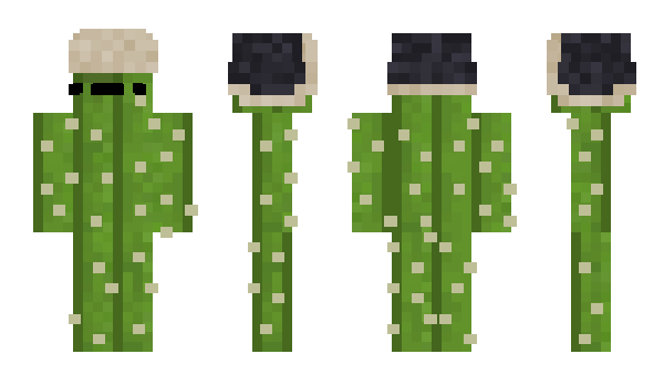 Minecraft скин по нику 43300