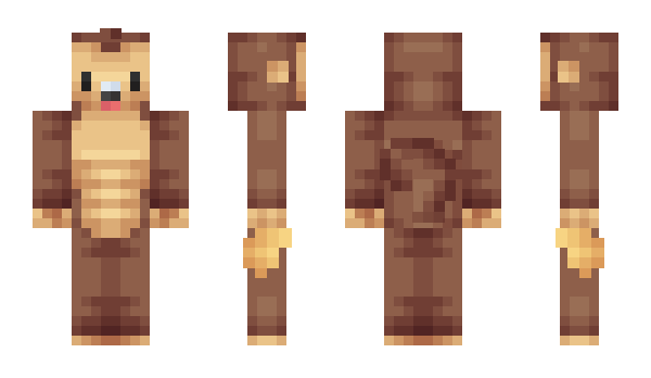 Minecraft skin Akcel