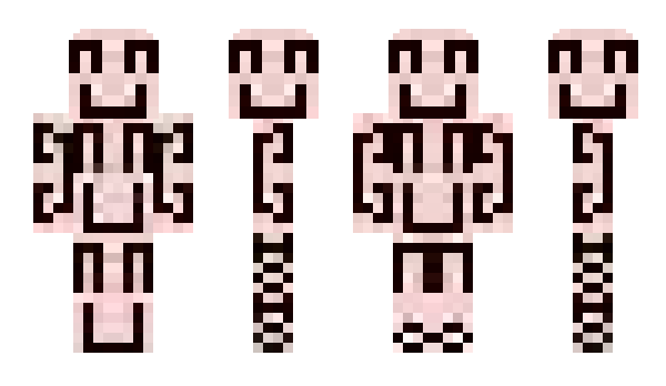 Minecraft skin qir