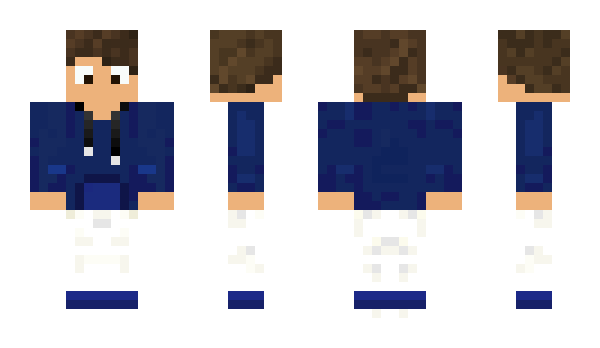 Minecraft skin Fa5040