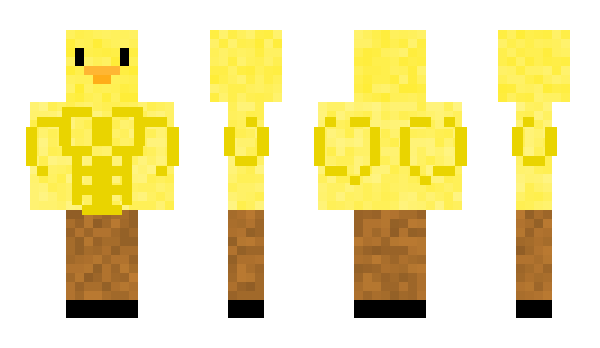 Minecraft скин по нику SyrienNyxara
