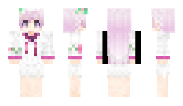 Minecraft skin WGNT