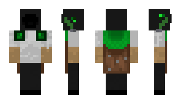 Minecraft скин по нику ashsw