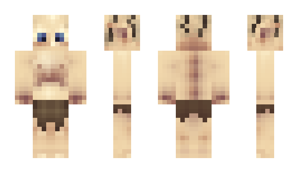 Minecraft skin palwa
