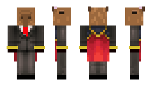 Minecraft skin Aggouriss