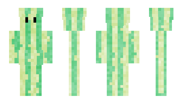 Minecraft skin Partygirlj