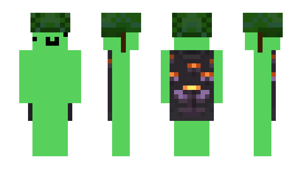 Minecraft скін по ніку DonZava