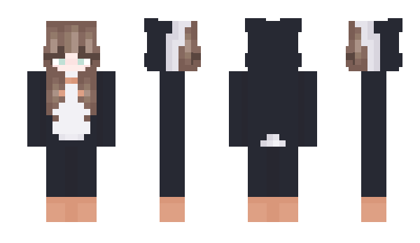 Minecraft skin aqlvsa