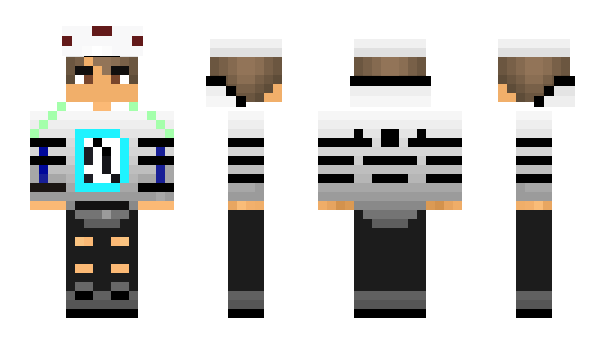 Minecraft skin dion55