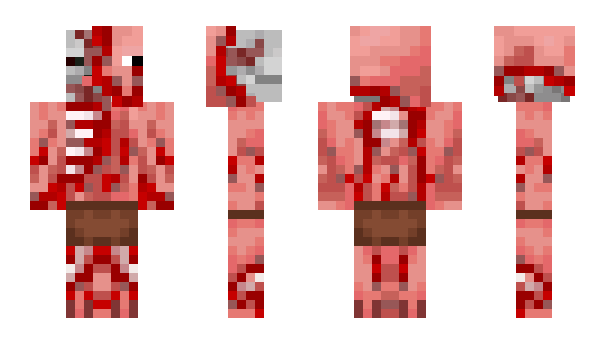 Minecraft skin qb5