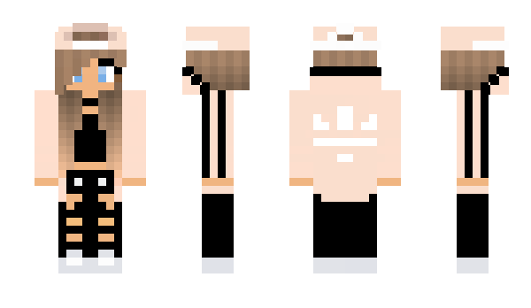 Minecraft skin MR_ANI