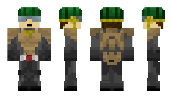 Minecraft skin Mercener