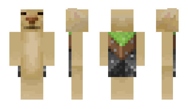 Minecraft скин по нику 550k