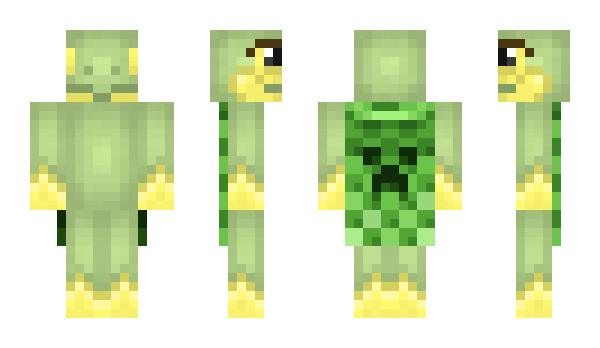Minecraft skin tennispro