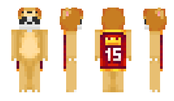 Minecraft skin mstaeroogway