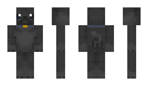 Minecraft skin 5Ocent