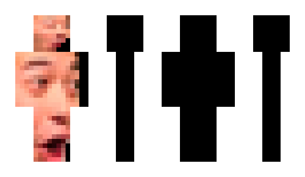 Minecraft skin Capir