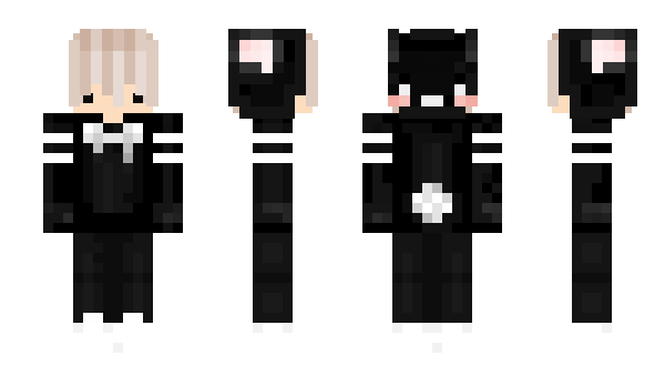 Minecraft skin AmonR6