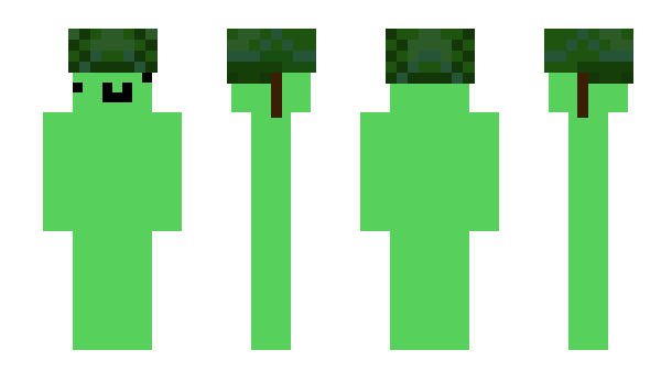 Minecraft skin Turtle_man0