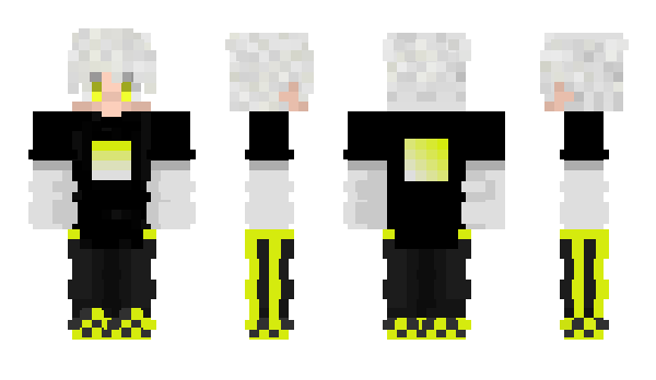 Minecraft skin Anten