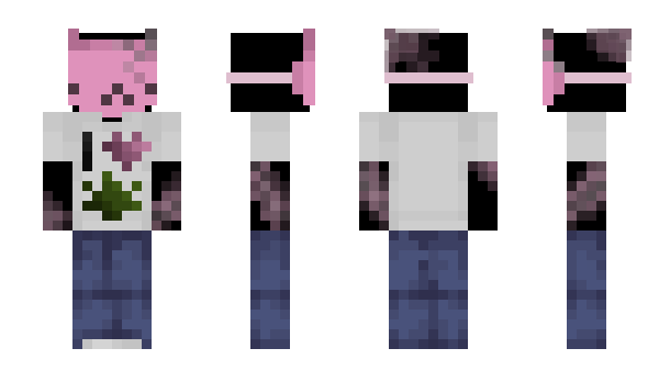 Minecraft skin Spark0leNight