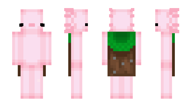 Minecraft скин по нику RitzyFlame