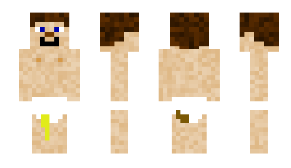 Minecraft skin The_______